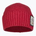 Czapka zimowa Patagonia Brodeo Beanie fun hogs armadillo/touring red 2