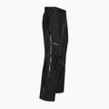 Spodnie męskie Patagonia Triolet black 10