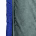 Bluza polarowa męska Patagonia Classic Retro-X nouveau green 7