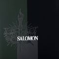 Deska snowboardowa męska Salomon Assassin PRO black/brown 6