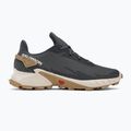 Buty do biegania męskie Salomon Alphacross 4 ebony/rainy day/phantm 2