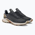 Buty do biegania męskie Salomon Alphacross 4 ebony/rainy day/phantm 4