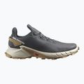 Buty do biegania męskie Salomon Alphacross 4 ebony/rainy day/phantm 11