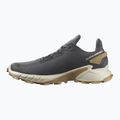 Buty do biegania męskie Salomon Alphacross 4 ebony/rainy day/phantm 12