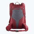 Plecak turystyczny Salomon Trailblazer 30 l aura orange/biking red 2