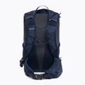 Plecak turystyczny Salomon Trailblazer 20 l surf the web/black iris 3