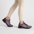 Buty do biegania damskie Salomon Supercross 4 GTX moonscape/black 2
