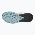 Buty turystyczne damskie Salomon Outrise GTX feather gray/bl/starg 16