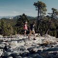 Buty trekkingowe damskie Salomon X Ultra 4 GTX stargazer/carbon/st 14
