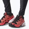 Buty do biegania męskie Salomon Spikecross 6 GTX cow hide/black/neon flame 13