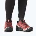 Buty do biegania damskie Salomon Speedcross 6 cow hide/black/english rose 4