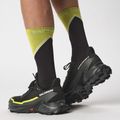 Buty do biegania męskie Salomon Alphacross 5 GTX black/peat/sulphur spring 12
