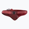 Pas do biegania Salomon Active Belt 3D Bottle high risk red/red dahlia 2