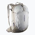 Plecak turystyczny Salomon Trailblazer 30 l khaki/glacier gray