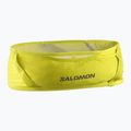 Pas do biegania Salomon Pulse sulphur spring/glacier gray