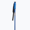 Kije narciarskie Salomon Polar Pro race blue 2