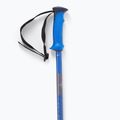 Kije narciarskie Salomon Polar Pro race blue 4