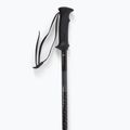 Kije narciarskie Salomon Polar Access black 4