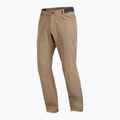 Spodnie trekkingowe męskie Salomon Wayfarer Warm shitake 7