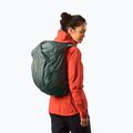 Plecak turystyczny Salomon Trailblazer 30 l urban chic/green milieu 5