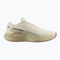 Buty do biegania męskie Salomon Thundercross asphalt/sharkskin/spray 8