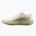 Buty do biegania męskie Salomon Thundercross asphalt/sharkskin/spray 9