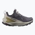 Buty turystyczne damskie Salomon Elixir GTX nine iron/silver cloud/sponge 9