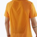 Koszulka męska Salomon Outline Tee turmeric 3