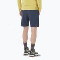 Spodenki męskie Salomon Wayfarer Ease blue nights 2