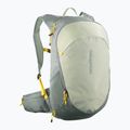Plecak turystyczny Salomon Trailblazer 20 l sedona sage/seagrass/cress green