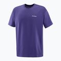Koszulka męska Salomon Logo RX Tee astral 4