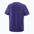 Koszulka męska Salomon Logo RX Tee astral 5