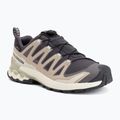 Buty do biegania damskie Salomon XA Pro 3D V9 GTX nine iron/oxford tan
