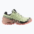 Buty do biegania damskie Salomon Speedcross 6 GTX lime cream/mahogany rose/black 2