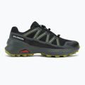 Buty do biegania męskie Salomon Speedcross Peak GTX black/urban chic/dark citron 2