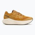 Buty do biegania męskie Salomon Aero Glide 3 Gravel spicy mustard/vanila ice/deep lichen green 2
