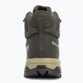 Buty trekkingowe męskie Salomon X Ultra 5 MID GTX peat/gray green/blue nights 6