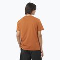 Koszulka męska Salomon Big Logo Tee sierra 2