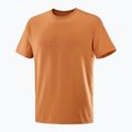 Koszulka męska Salomon Big Logo Tee sierra 4