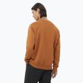 Bluza męska Salomon Logo Crewneck sierra 2