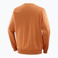 Bluza męska Salomon Logo Crewneck sierra 6