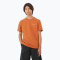 Koszulka męska Salomon Logo Tee sierra