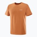 Koszulka męska Salomon Logo Tee sierra 4