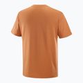 Koszulka męska Salomon Logo Tee sierra 5