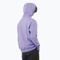 Bluza męska Salomon Logo Hoodie violet tulip 2
