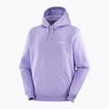 Bluza męska Salomon Logo Hoodie violet tulip 3