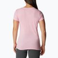 Koszulka trekkingowa damska Columbia Daisy Days Graphic wild rose hthr/best site graphic 2