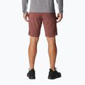 Spodenki trekkingowe męskie Columbia Titan Pass light raisin 2