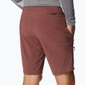 Spodenki trekkingowe męskie Columbia Titan Pass light raisin 5