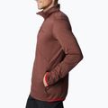 Bluza trekkingowa męska Columbia Park View Fleece FZ light raisin heather 5